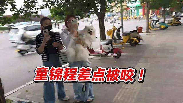 童锦程差点被咬！