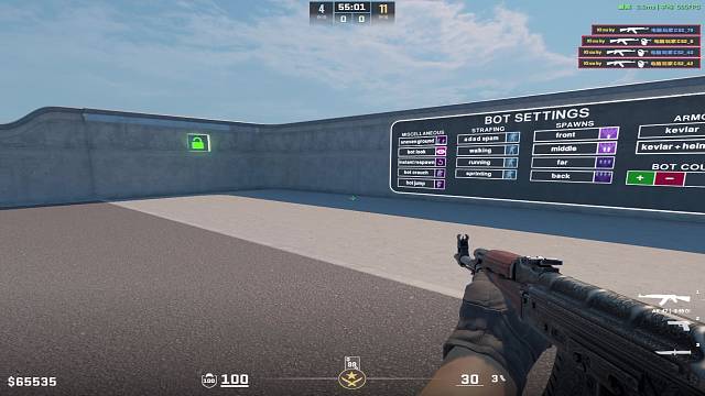 cs2