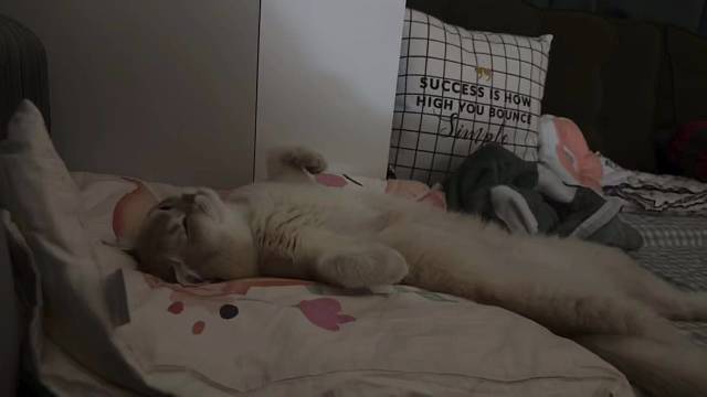 可爱