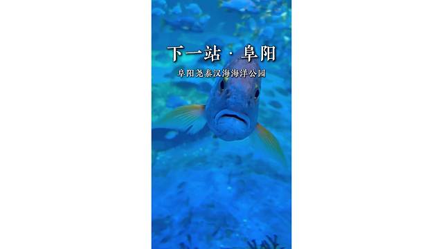 下一站——阜阳尧泰汉海海洋公园