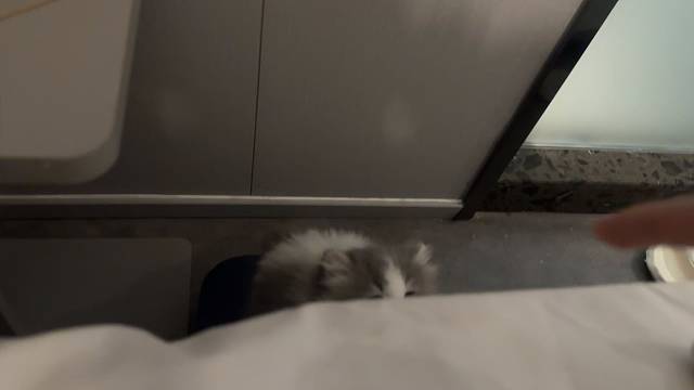 吓窝一跳
