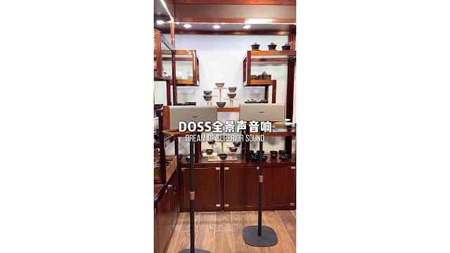 平价高配，听觉享受！DOSS全景声音响