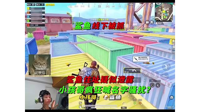 《鲨鱼地址泄露被小孩哥骚扰，直呼想搬进别墅直播？》
