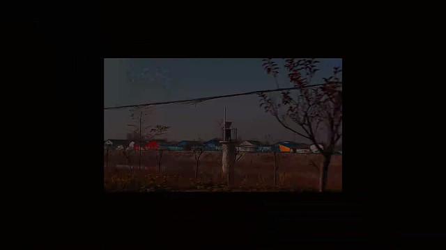 胖猴子不减肥了，该吃吃该喝喝啥事别往心里搁