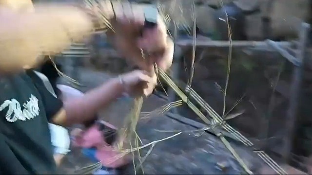 小牛马成长记