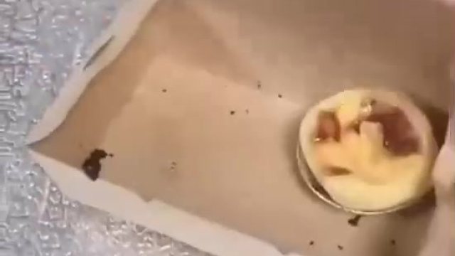 这姑娘ID多少