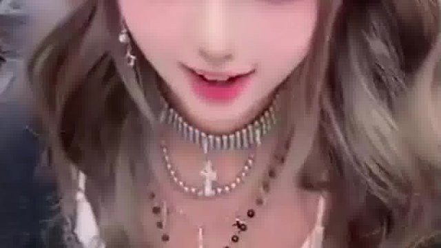 可爱的猫咪