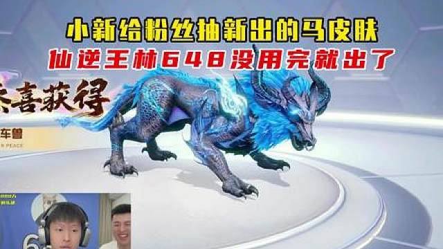 小新给粉丝抽新皮肤仙逆王林，没花多少意外抽出