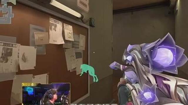谁是大明星？！