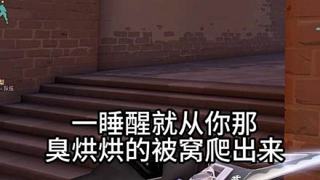 谁是乐子