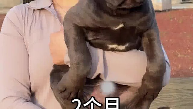 你喜欢哪个月龄的小卡