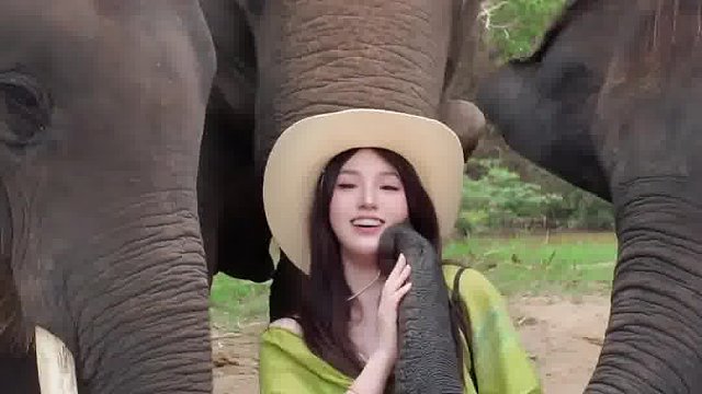 我说stop