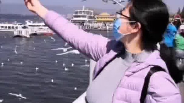 大馒头喂海鸥喽