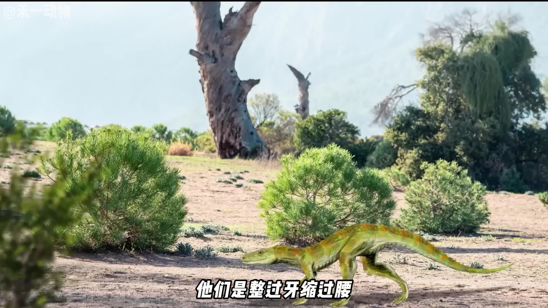 鳄鱼进化了两亿年，为什么外形基本没怎么变？