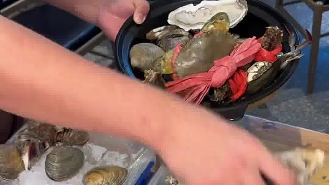 重庆街边的粥底火锅全家福 海鲜好生猛 好鲜甜 299块钱一份
