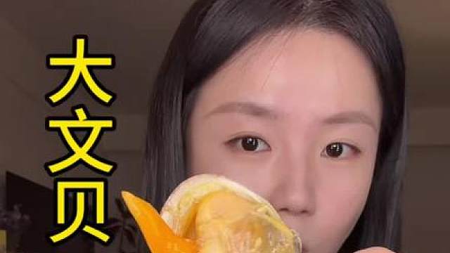 依旧东港大文贝