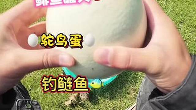 时隔一年 再次用鸵鸟蛋制作钓鱼饵料 实在是太穿透了