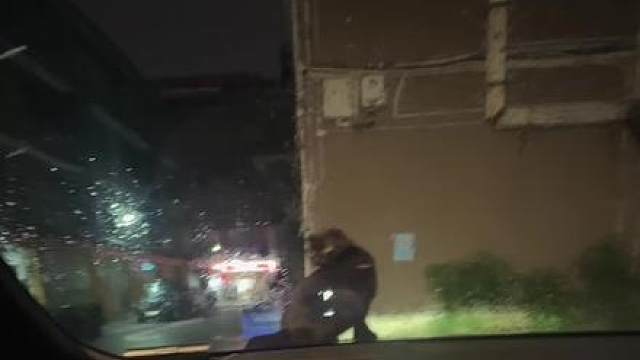 鉴定完毕，是只碳水咪！！