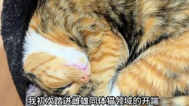 咱也不知道集齐这个是要干嘛..
