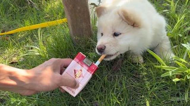 私下是啥都来啊