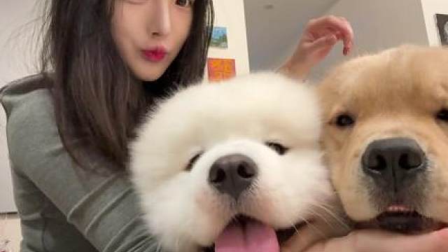 怎么这么可爱啊啊啊啊啊啊啊啊