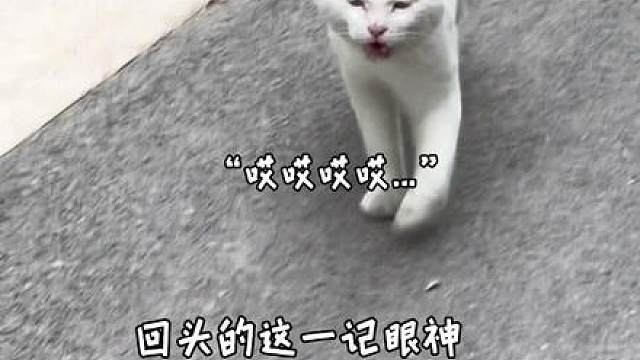 如果我们不曾相遇，它们会是现在这个样子吗？