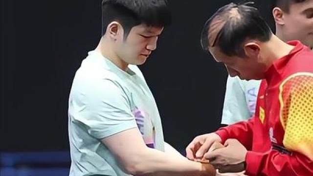 为什么说刘队医是八一队留给樊振东最后的温柔？