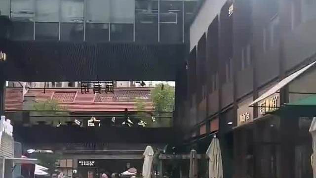 菲奥娜的感觉  ​