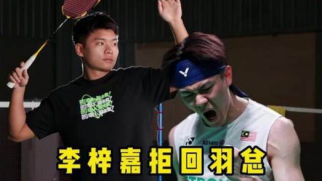 如果李梓嘉当初没有离开国家队，他的成就会比现在更高吗？