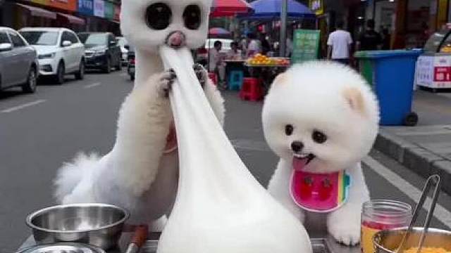 (2026-05-06)发布的视频