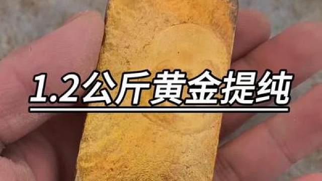 1.2公斤黄金提纯成千足金 满满的干货 提纯价值一套小洋房的黄金 足足1200多克，提纯成千足金后还能剩多少克？