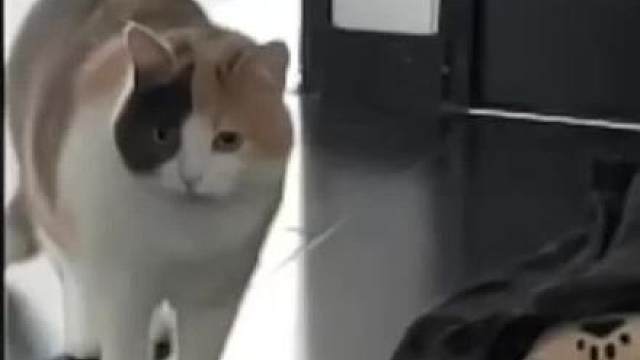 罪恶元手…