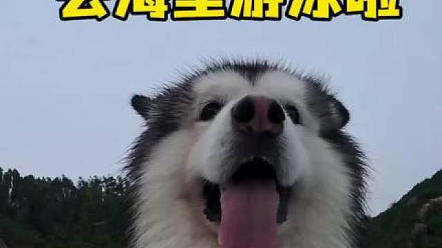 胖虎在海里游泳咋能游那么快