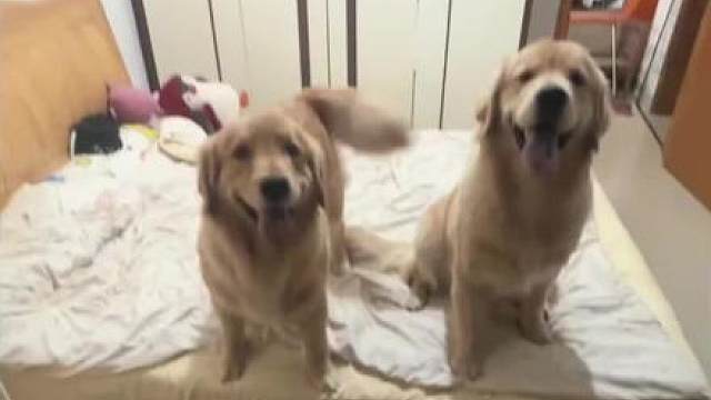 当我意识到自己是假四川人