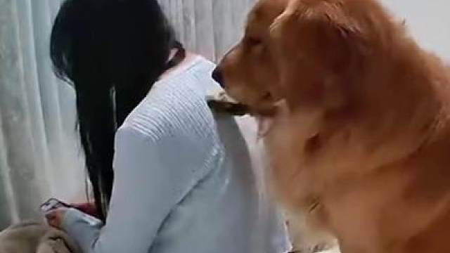 狗子：早知道台阶出来那一秒，我就下来了