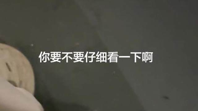 啊啊啊一直跟着我，好像真以为我是它妈妈？？！！！