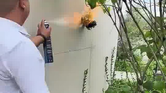 光头大哥灭马蜂窝，一个举动彰显学霸风范，万一保护动物就惨了！