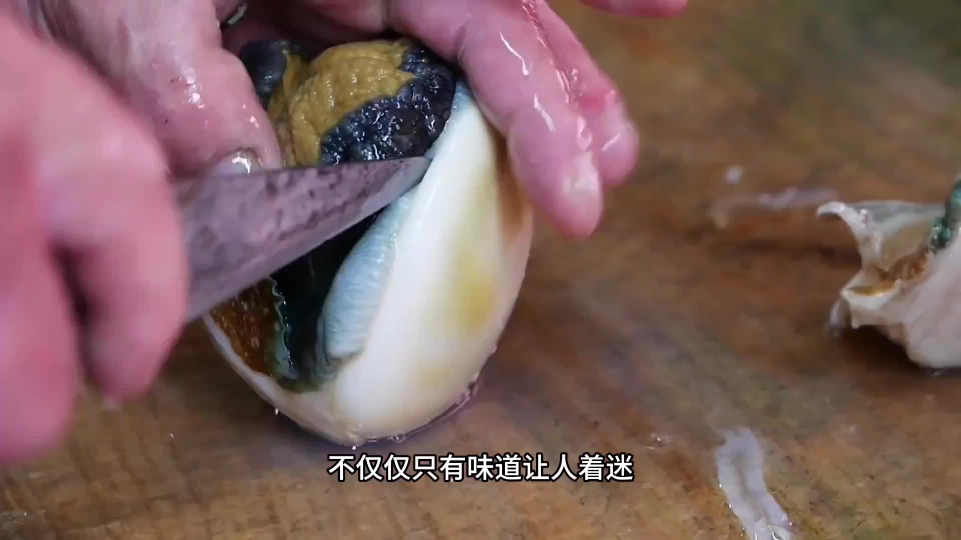 海蜗牛，不仅味道鲜美，它的顶盖更值得收藏