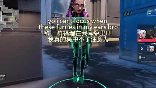 谁定制的福瑞控