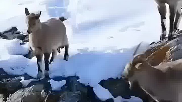 都是为了活着