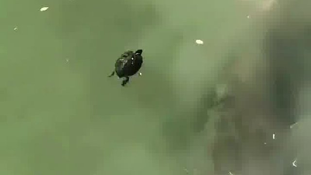 那啥你唱的不错