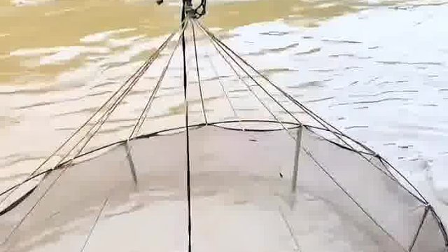 下血本了