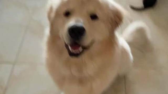 广西运镜