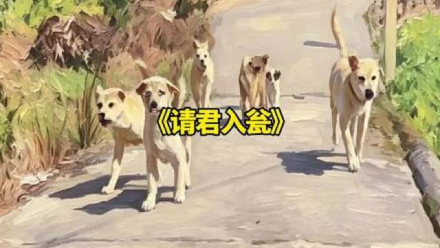 仙狗跳！