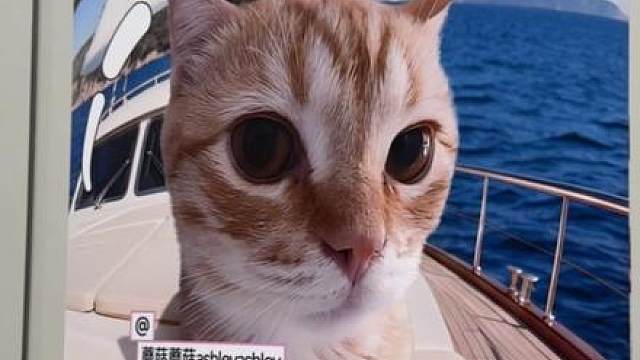 风里雨里 蘑菇厕所等你！