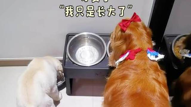姐弟