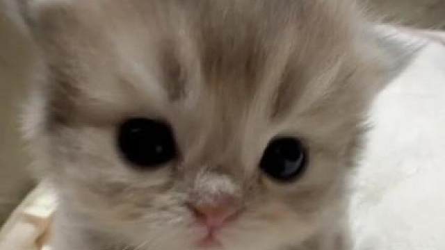 我咄咄逼人？