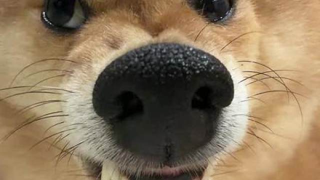 再次启动