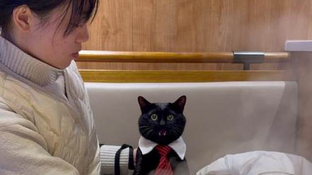 小猫也想吃了