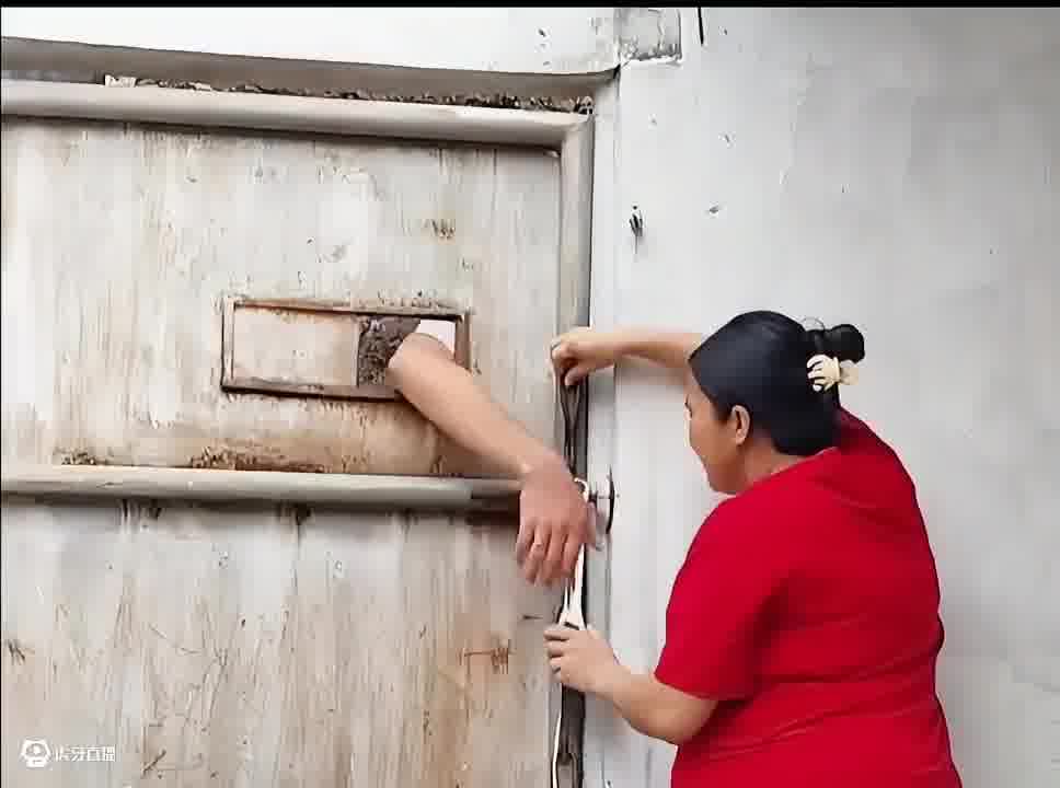 走进科学